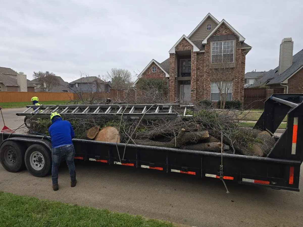 Expert Tree Fertilization with proper safety equipment in Pleasant Valley